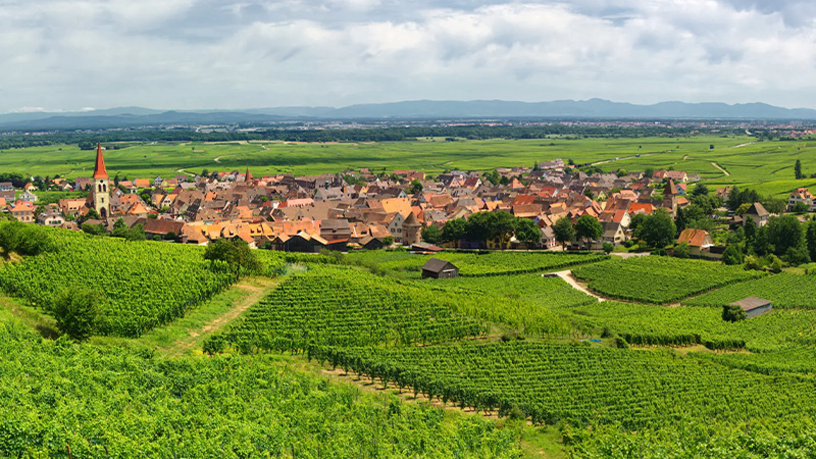 Carte d'identité Haute-Garonne