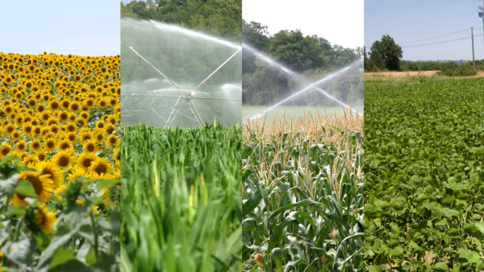 Irrigation en Haute-Garonne