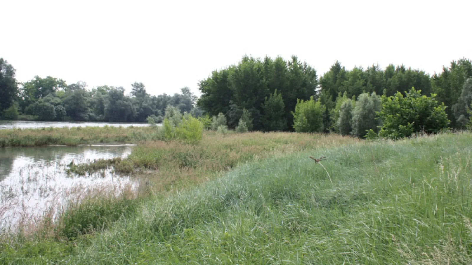 Complexe ZH Grenade - La Nautique