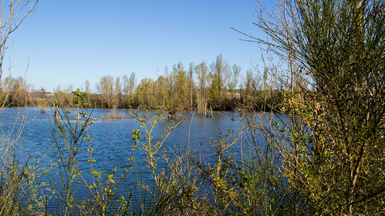 Anciennes gravières de la Valette
