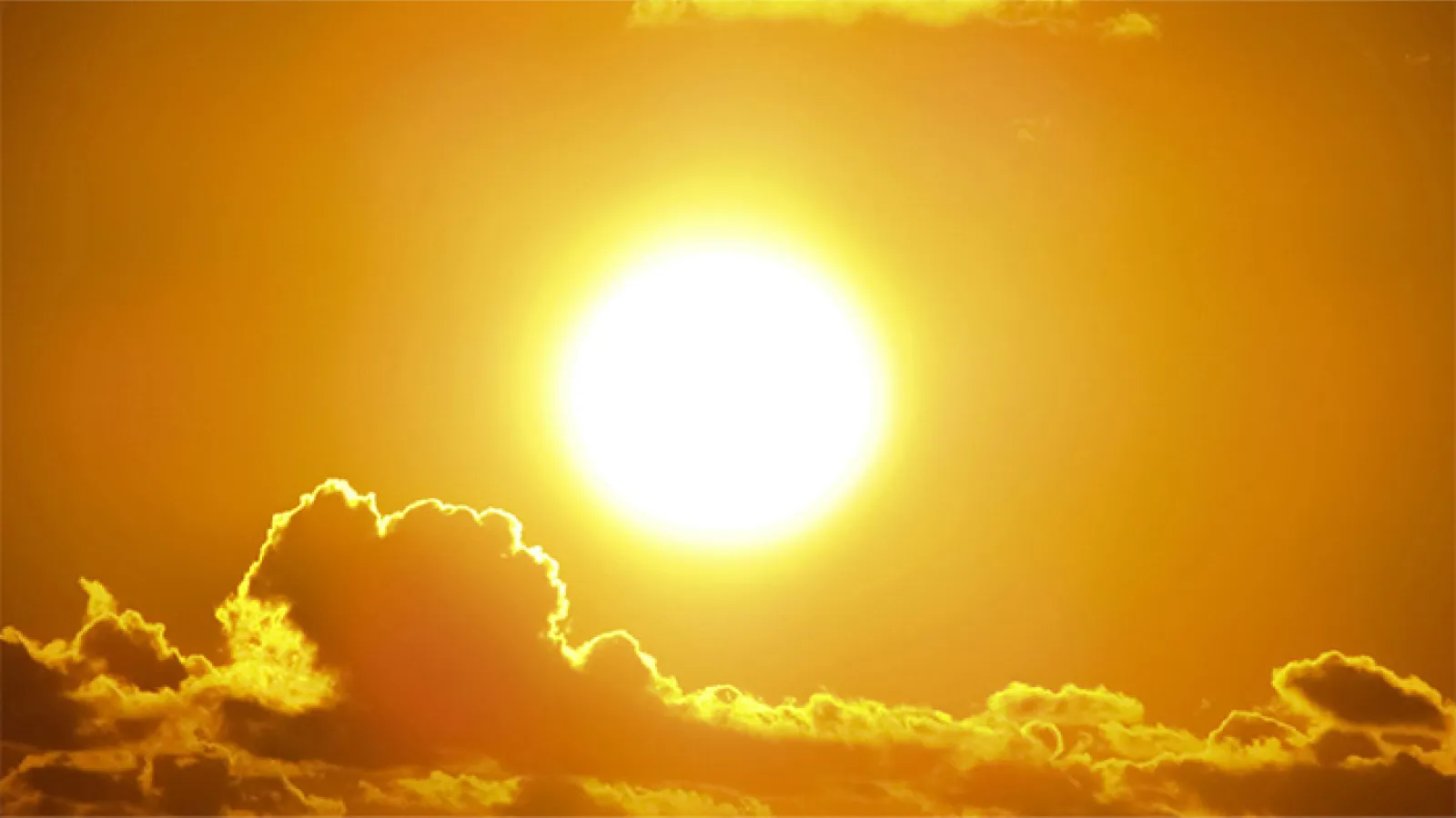 Alerte canicule
