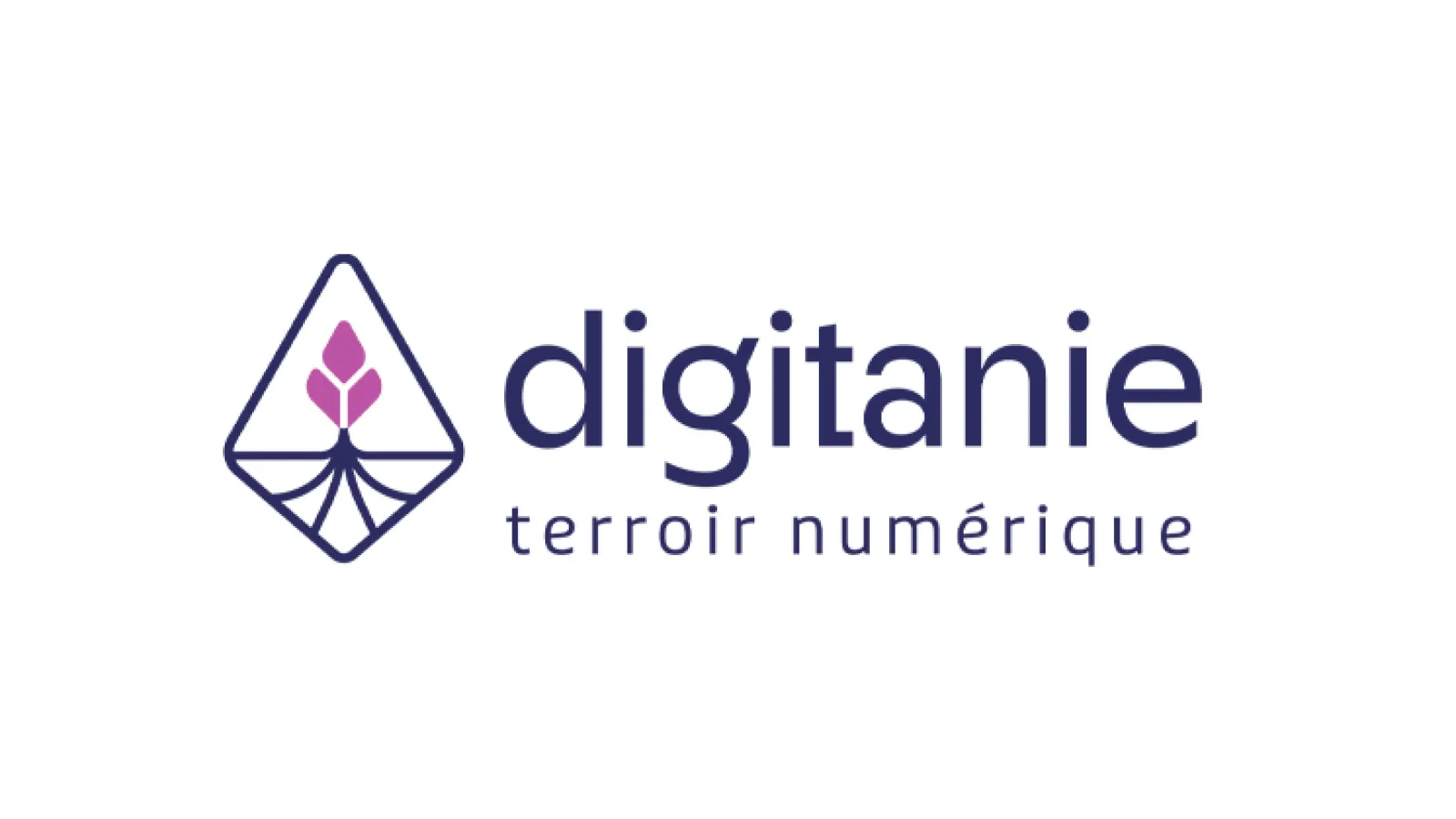 00-miniature-logo-digitanie.jpg 