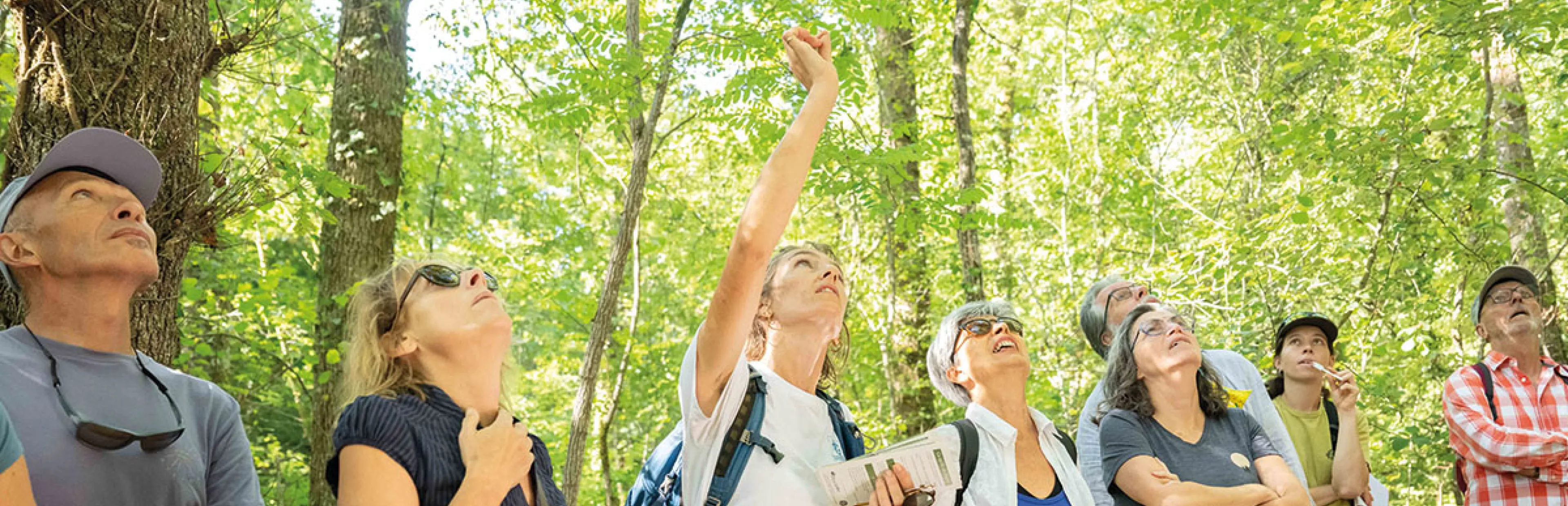 Visite de la forêt de Pechbonnieu le 29 août 2026 