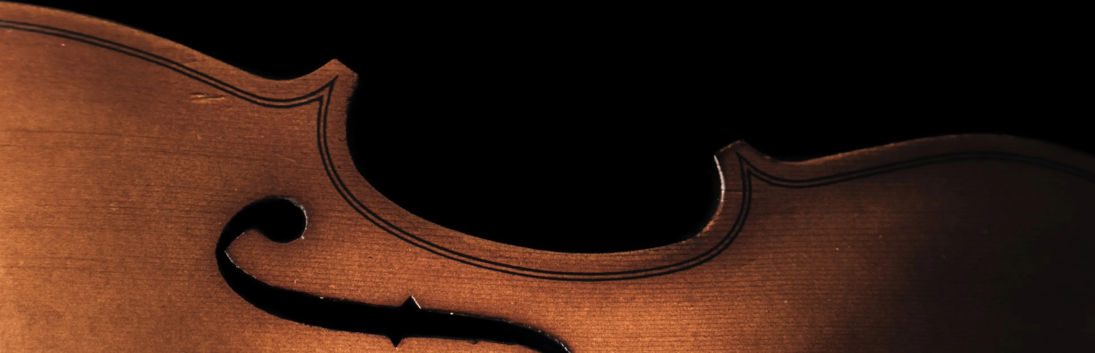 Violon